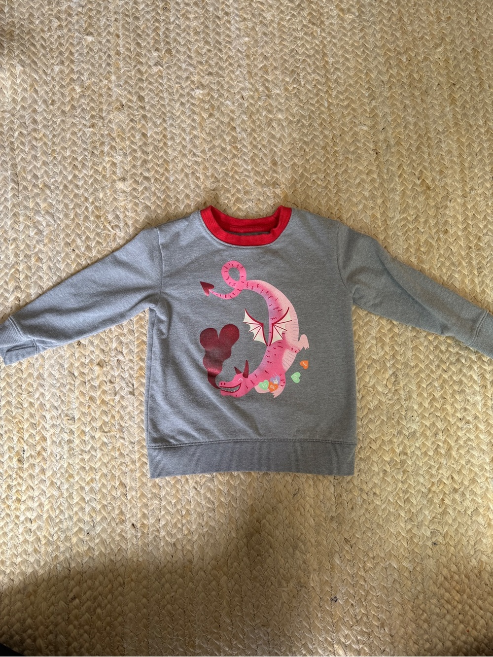 Cat & Jack Gray Sweatshirt with Pink Dragon and Red Collar